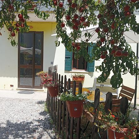 Appartamento Malcontenta Міра Екстер'єр фото
