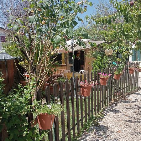 Appartamento Malcontenta Міра Екстер'єр фото
